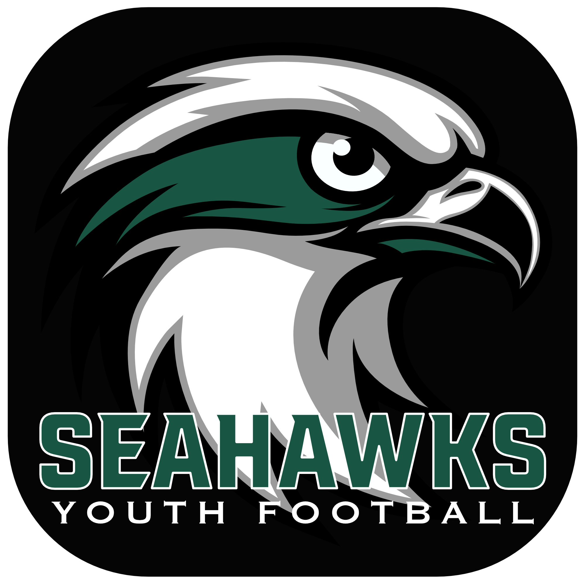 Seahawks Youth Football | a proud team of the Seahawks Sports Association (SSA)